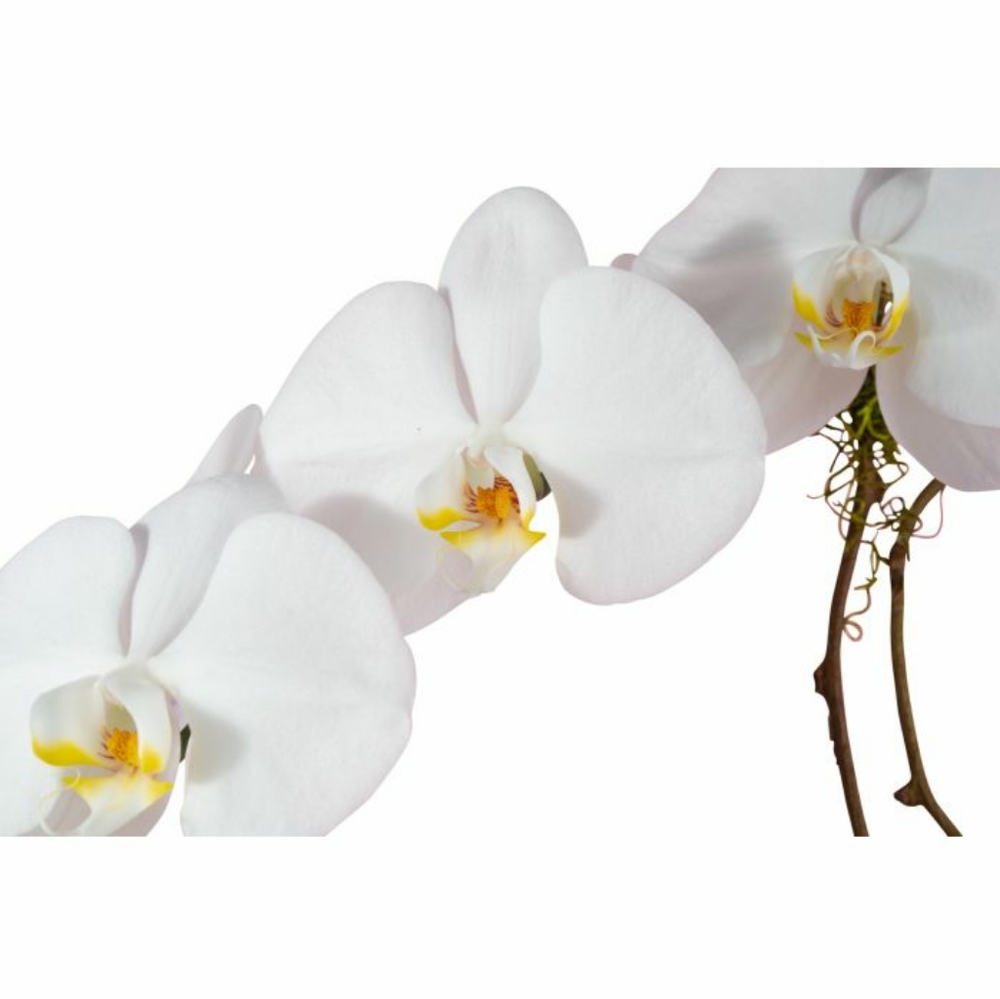 Meet your Posher, Stoneshopper!